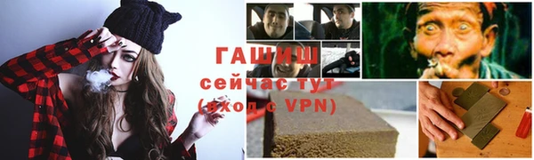 стаф Верея