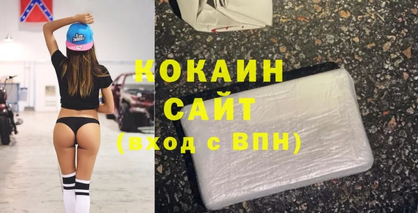 стаф Верея