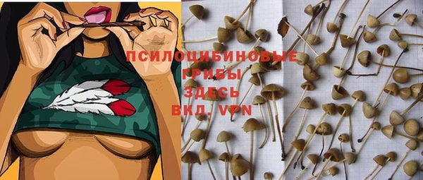 стаф Верея