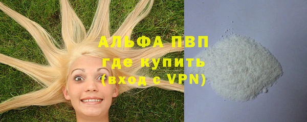 стаф Верея