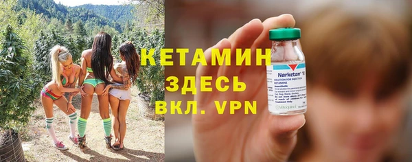 стаф Верея