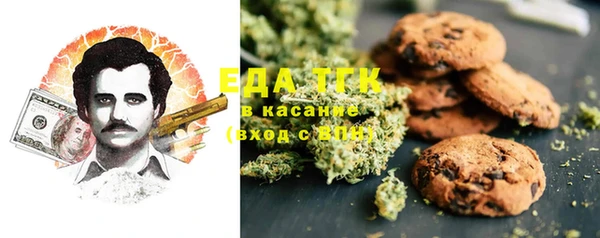 стаф Верея
