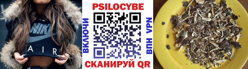 Псилоцибиновые грибы Psilocybine cubensis  Вязьма 
